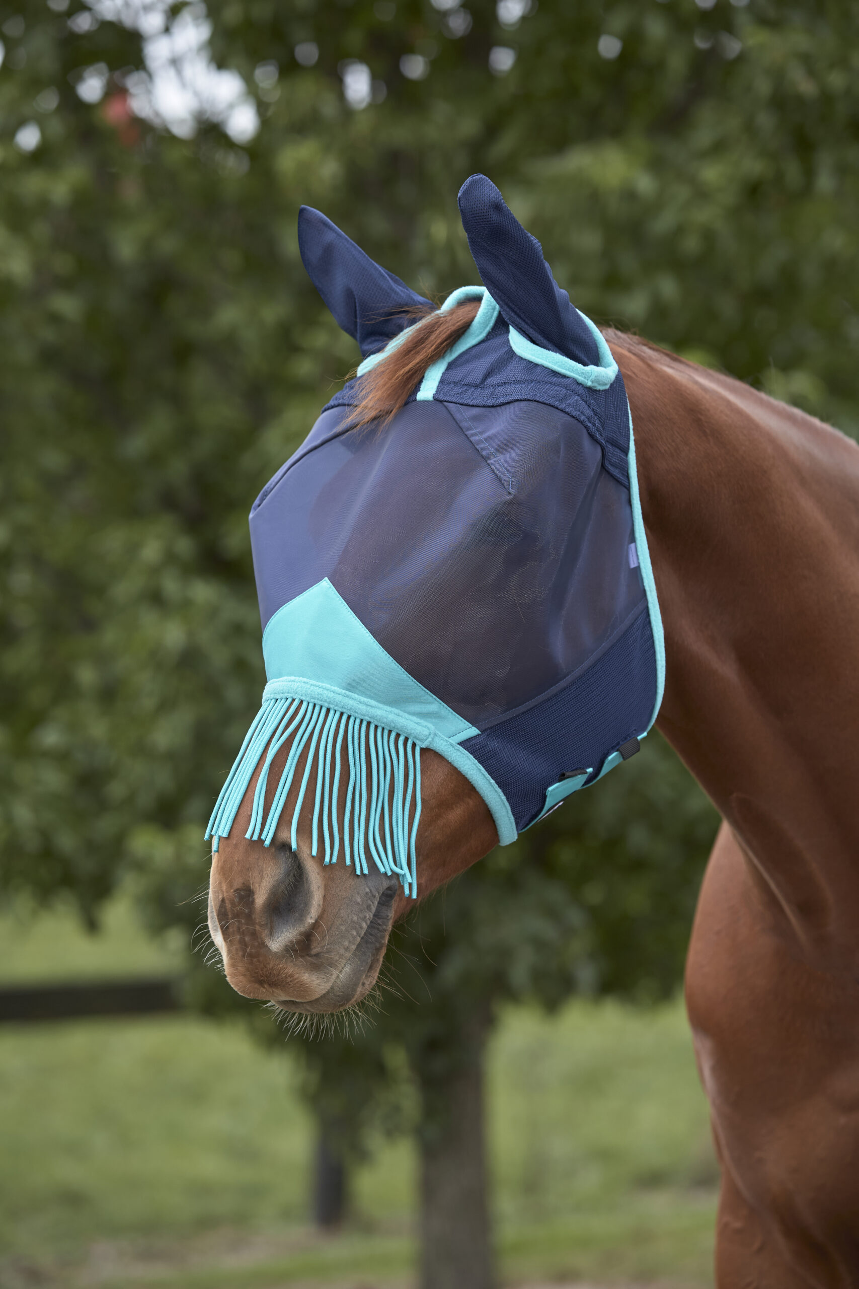 Fliegenmaske